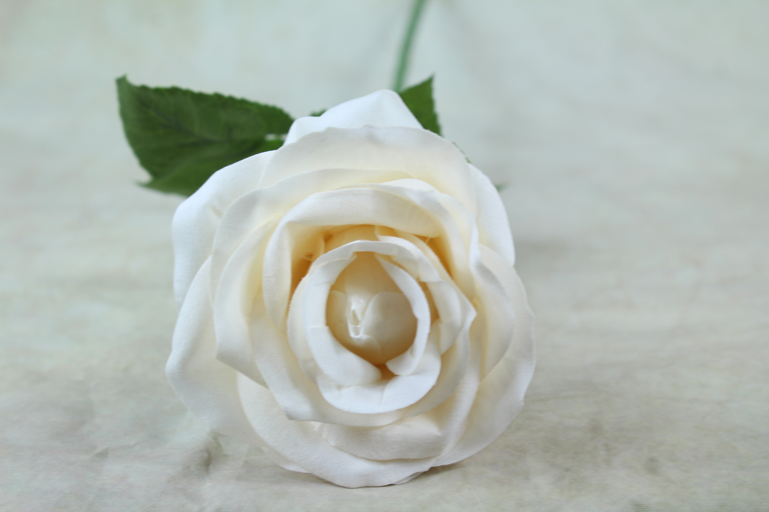 6 x 9cm Flocked Velvet Tea Rose With Stem