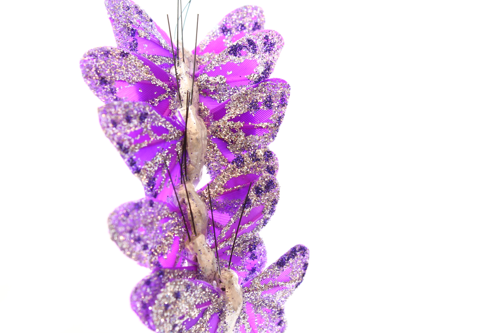 24 x 5.5cm Butterflies