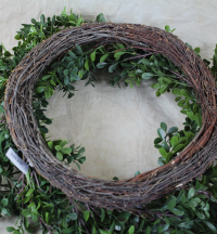 2-x-55cm-box-leaf-wreath-on-twig-base