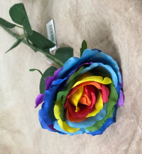 6-x-10cm-blooming-rose-stem