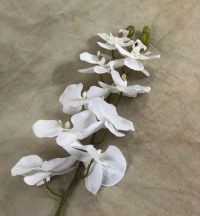 2-x-100cm-phalaenopsis-orchid-spray