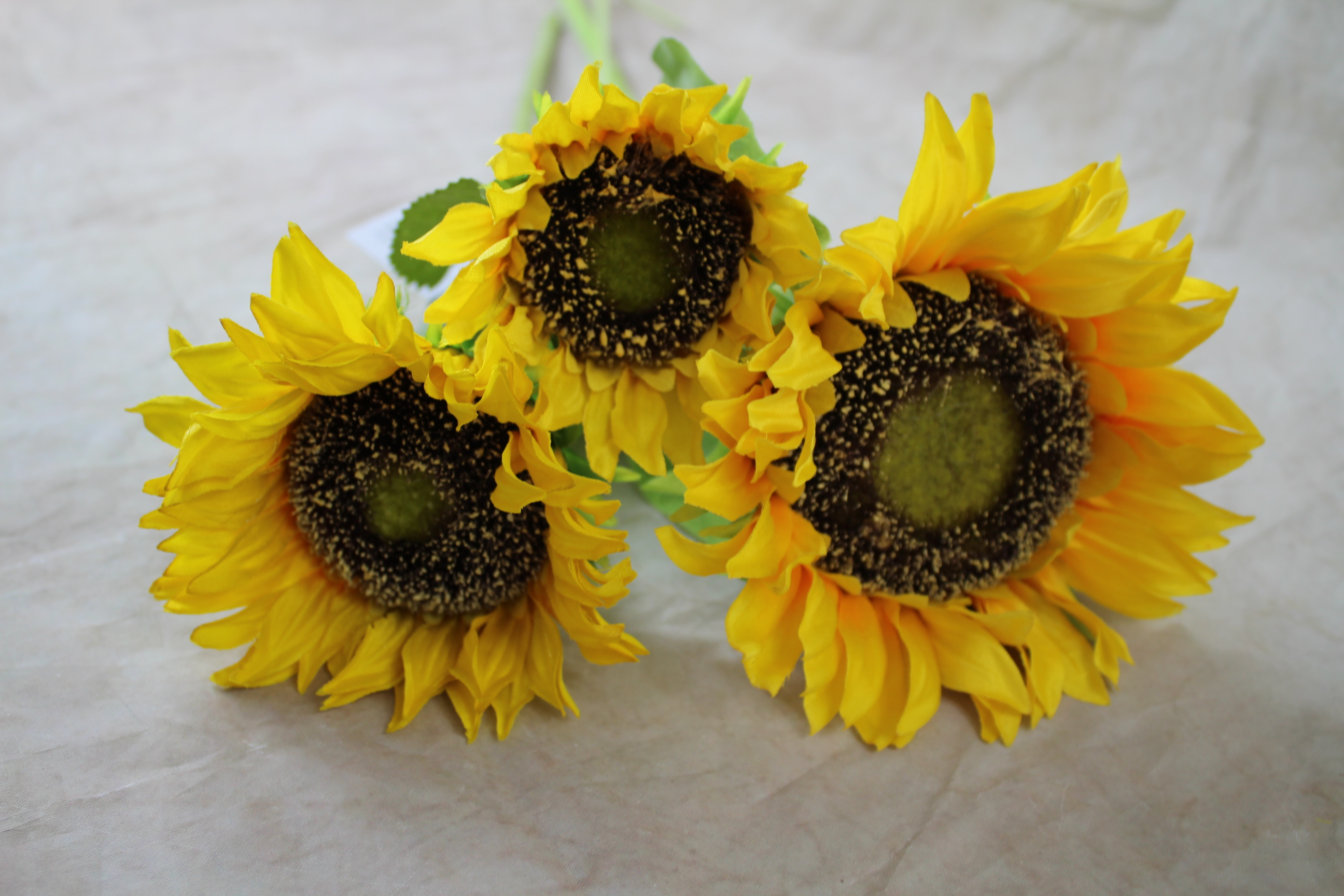 12 x 16cm Sunflower