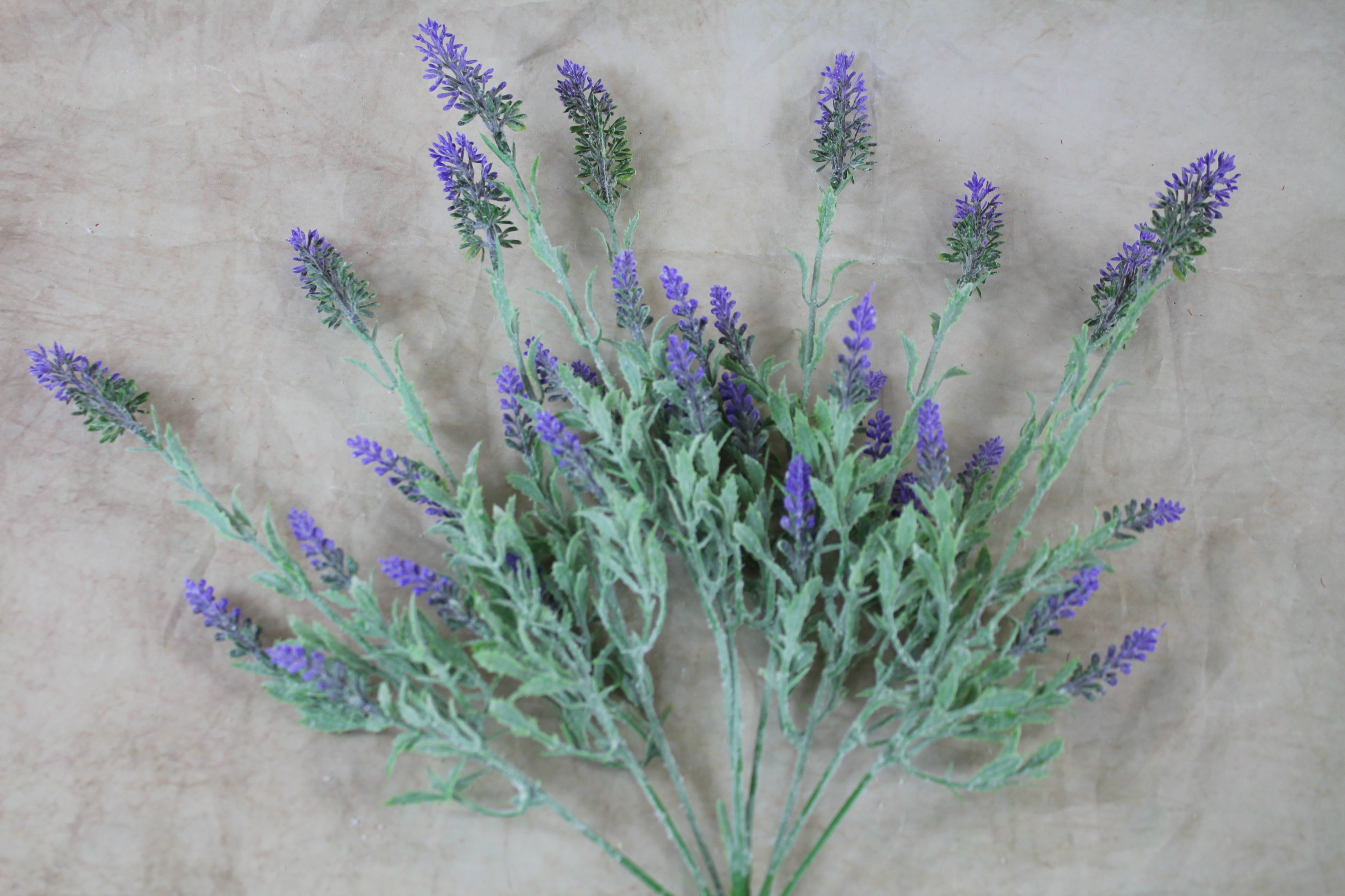 24 X 49cm Lavender bush