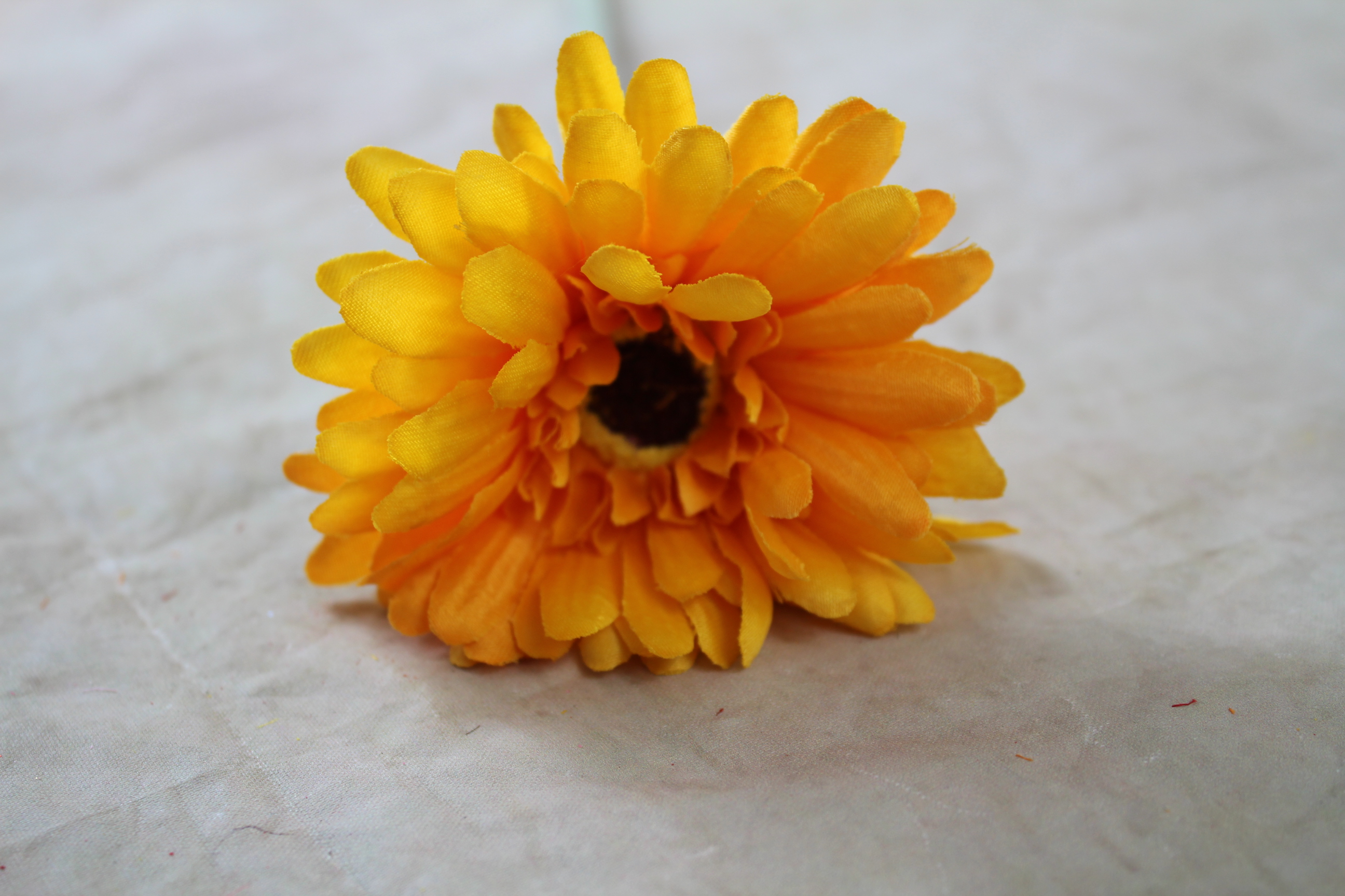 36 x 9cm Gerbera daisy on 48cm stem