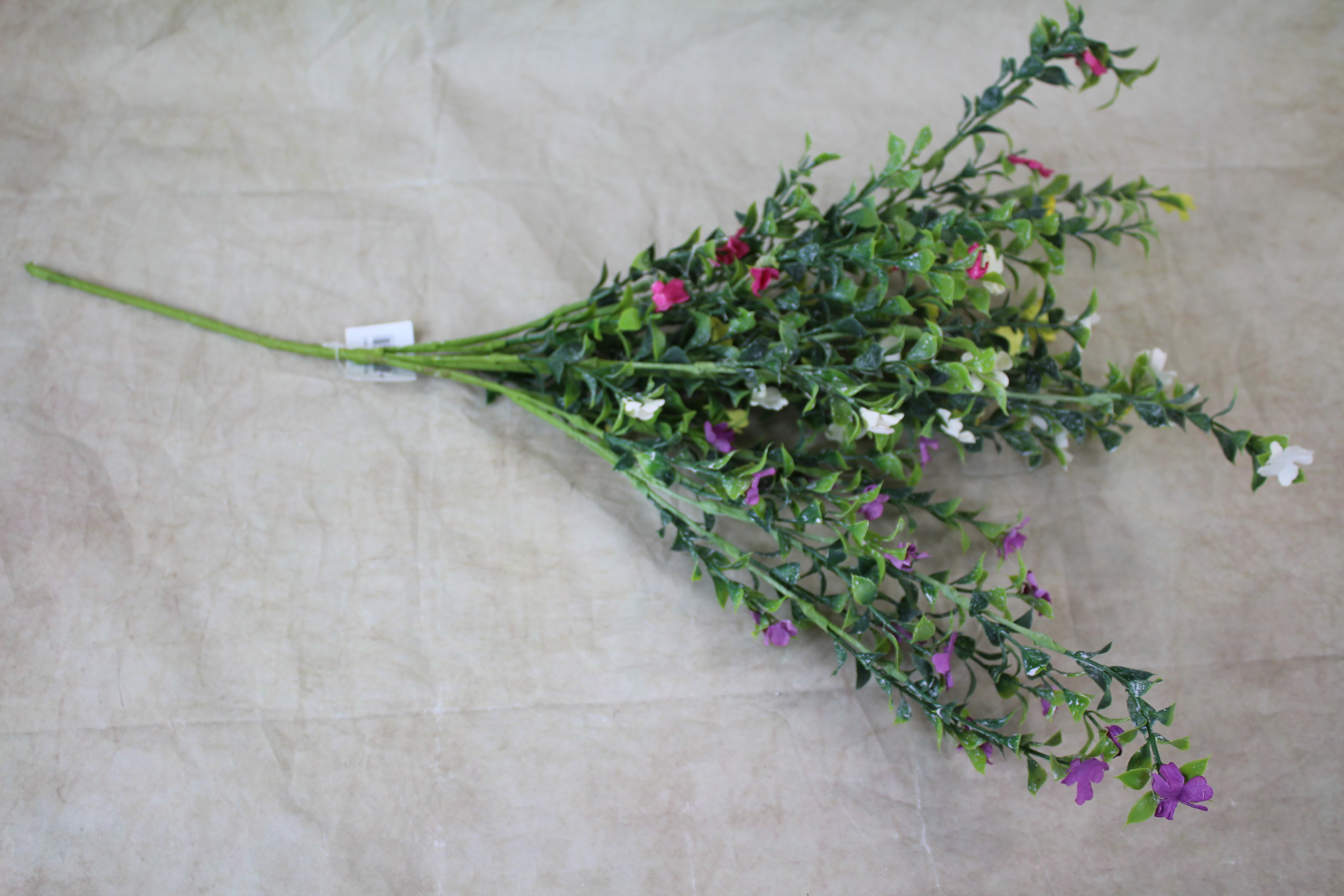 12 x 50cm fantasy petal ruscus spray