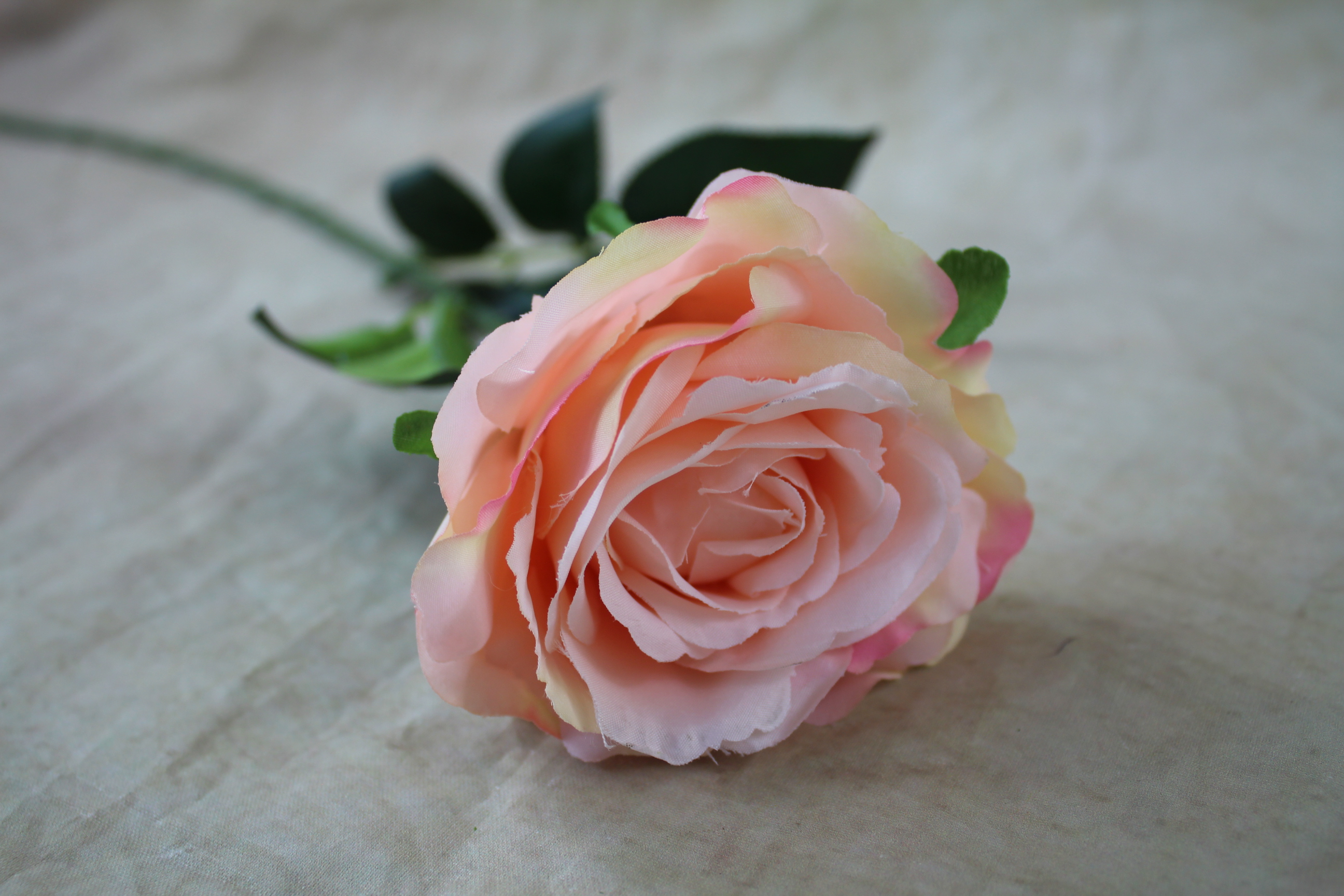6 x 10 cm single stem silk blooming roses