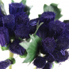 Decoration purple Thistle bunches for decorations