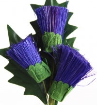 Quality thistle stems packed in sleeves of 6.