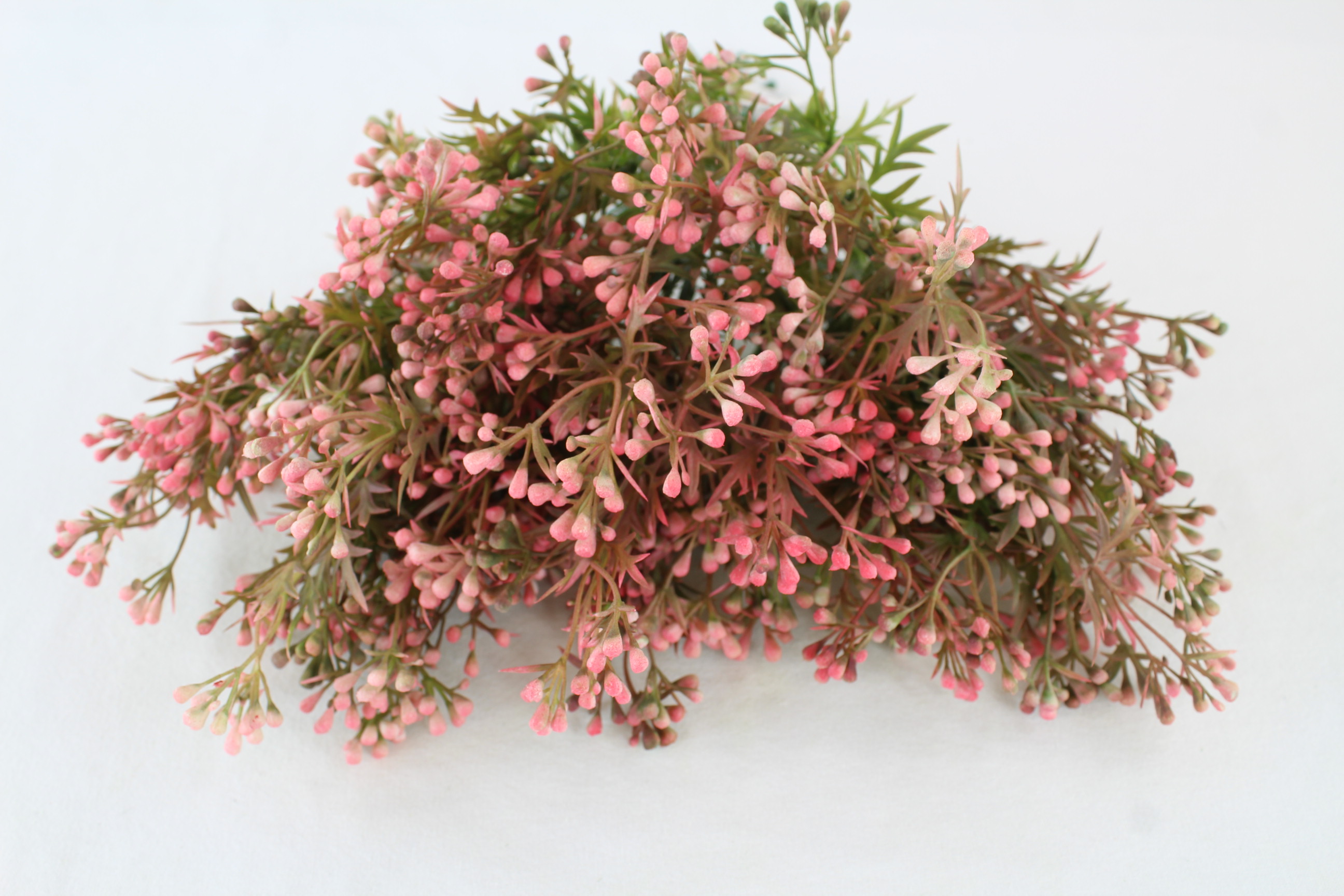 6 x Mini Wax Flower Bushes