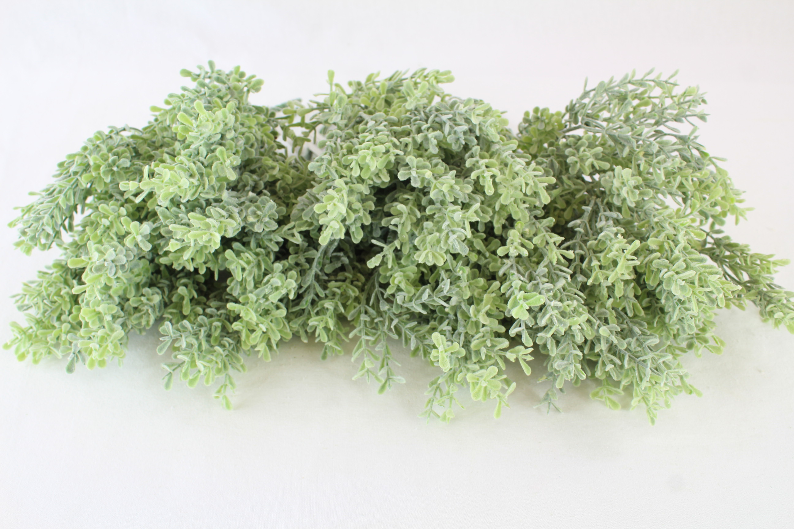 24 x 30cm Frosted Thyme Bush