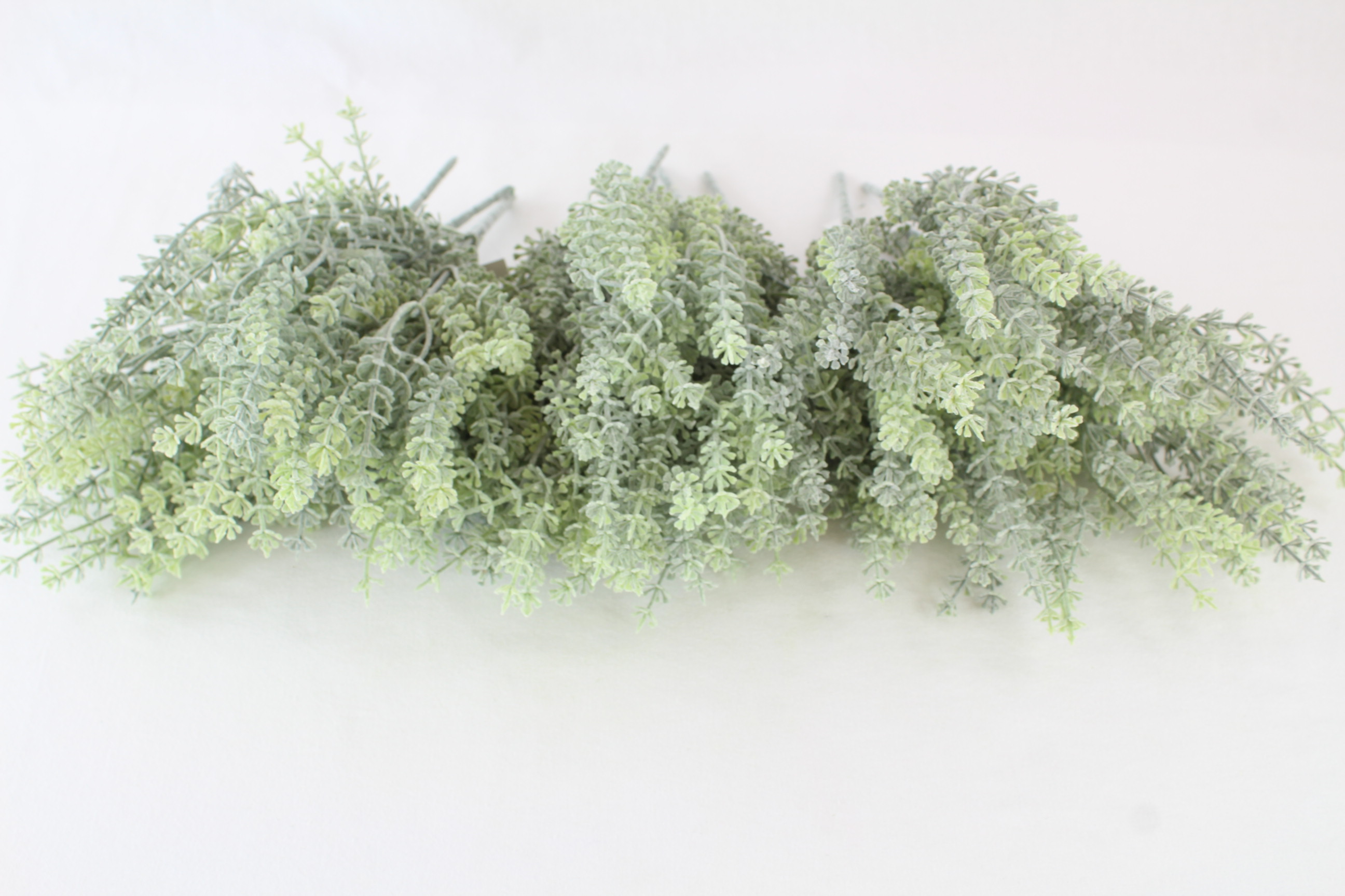 10 x 28cm Frosted Thyme Bunch