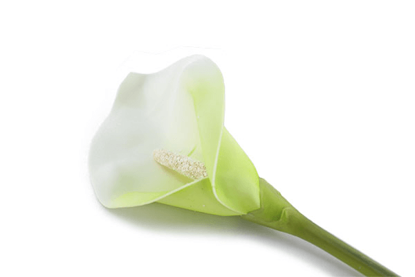 Large Foam Calla Lily 