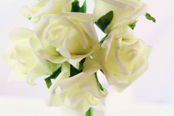 Our beautiful Cream bunch, perfect for that special day