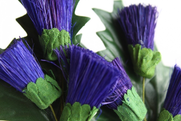 A closer look at our thistle stems in a deep purple