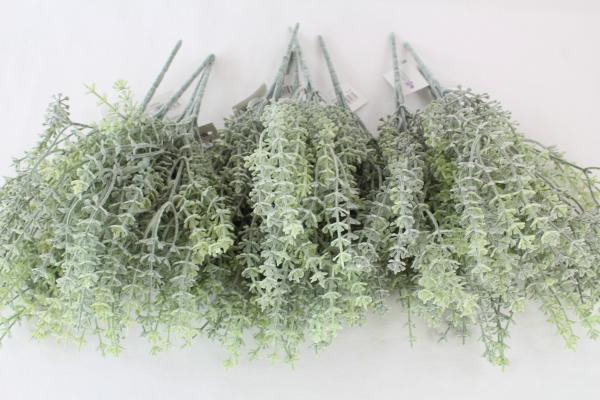 Frosted Thyme Bunch