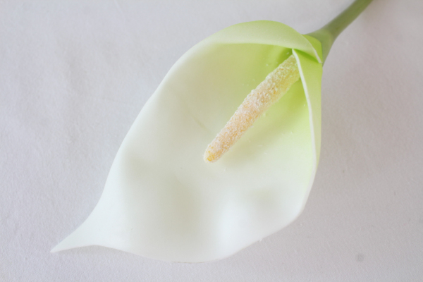 Large Single Stem White Foam Calla Lily x 16